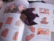 origamipoisson